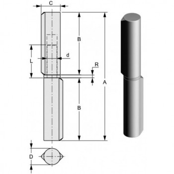 Paumelle axe et rondelle en laiton - axe Ø 7   80x11,25 mm