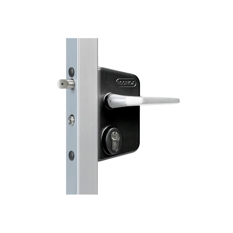 Serrure type industriel Locinox - pour profil plat de 10 à 30mm - entraxe 60mm - noire