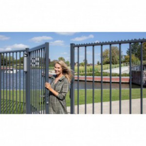 Ferme portail et porte hydraulique 180° RHINO Locinox - couleur Argent - à-coup final réglable